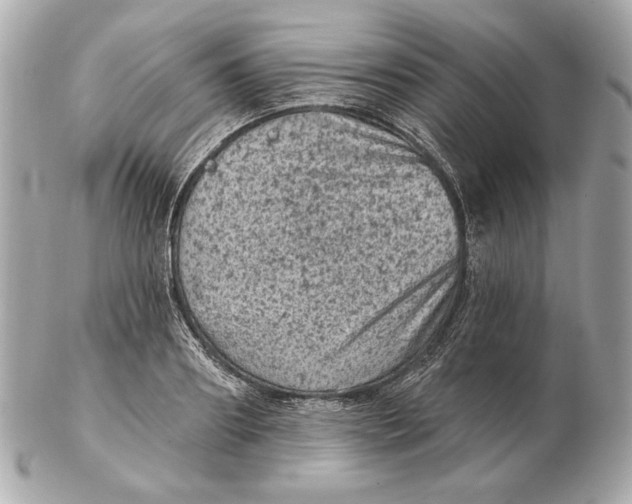 X0000102460890200808291540