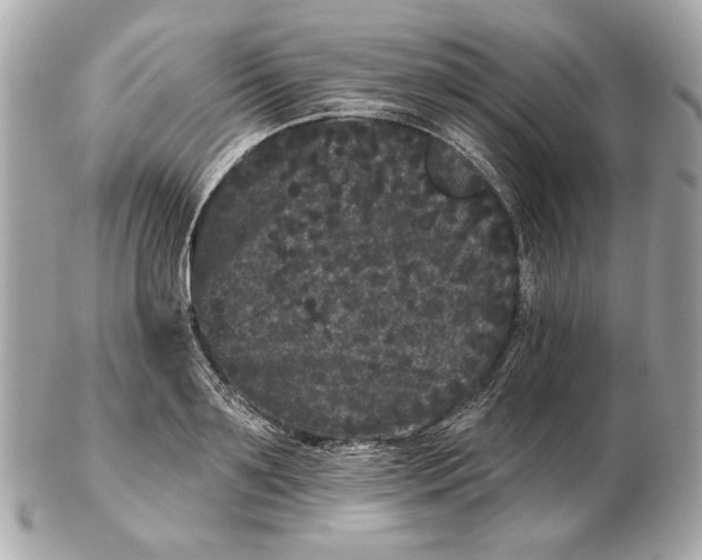 X0000102460891200808291540