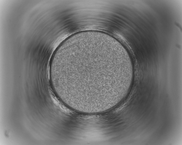 X0000102460892200808291540