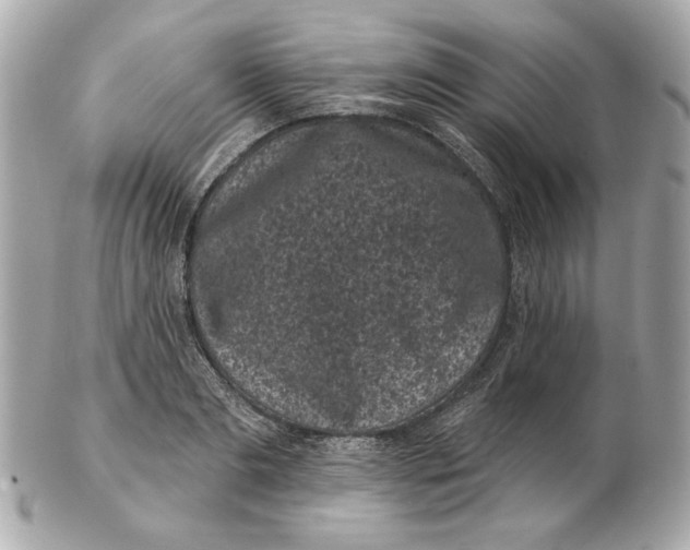 X0000102460893200808291540