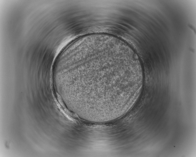 X0000102460894200808291540