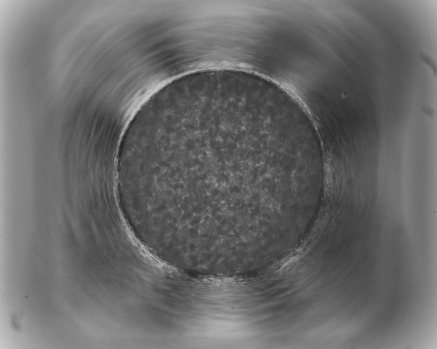 X0000102460895200808291540