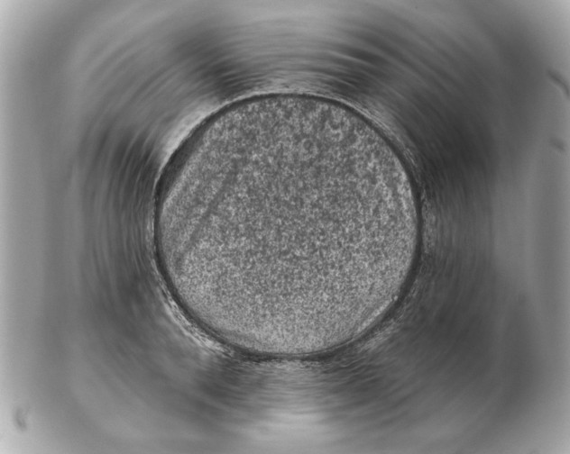 X0000102460896200808291540