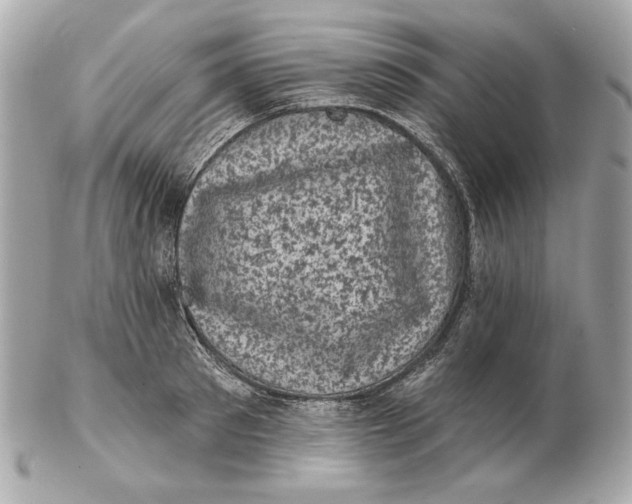 X0000102460897200808291540