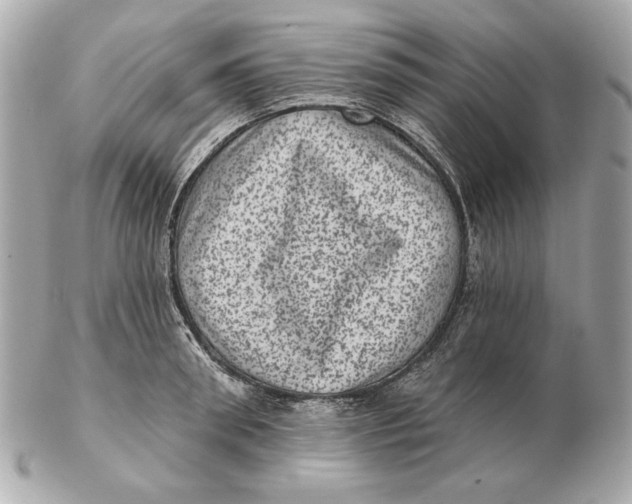 X0000102460898200808291540