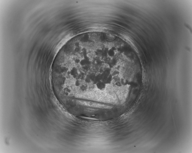 X0000102460899200808291540