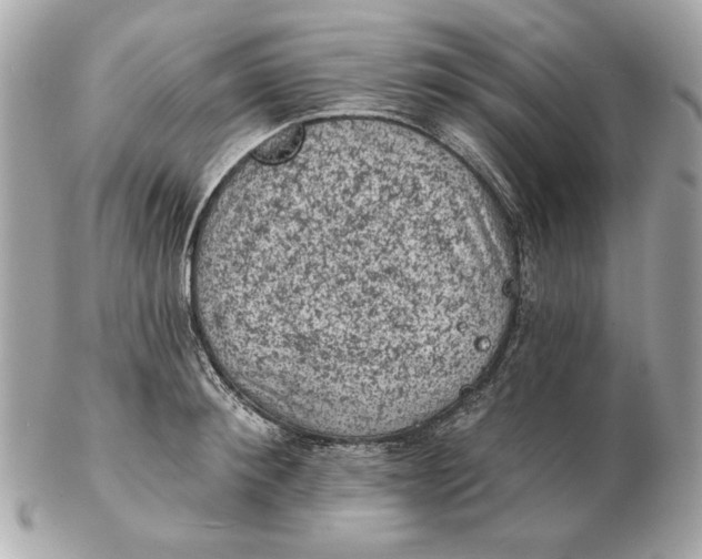 X0000102460900200808291540