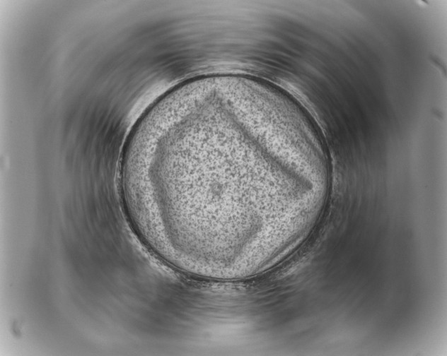 X0000102460901200808291540