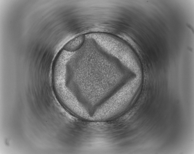 X0000102460902200808291540