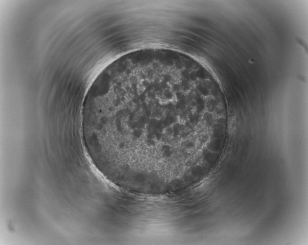 X0000102460903200808291539