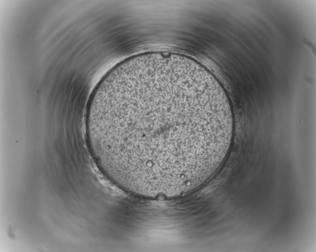 X0000102460904200808291539