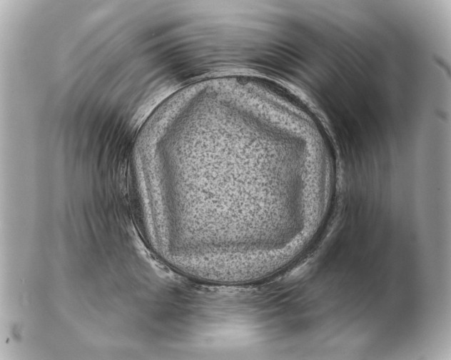 X0000102460905200808291539