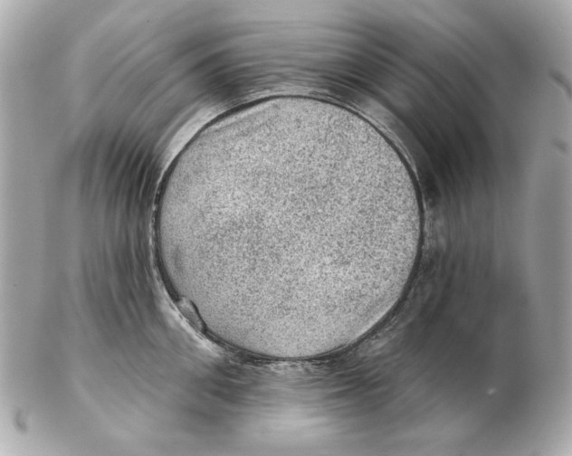 X0000102460906200808291539