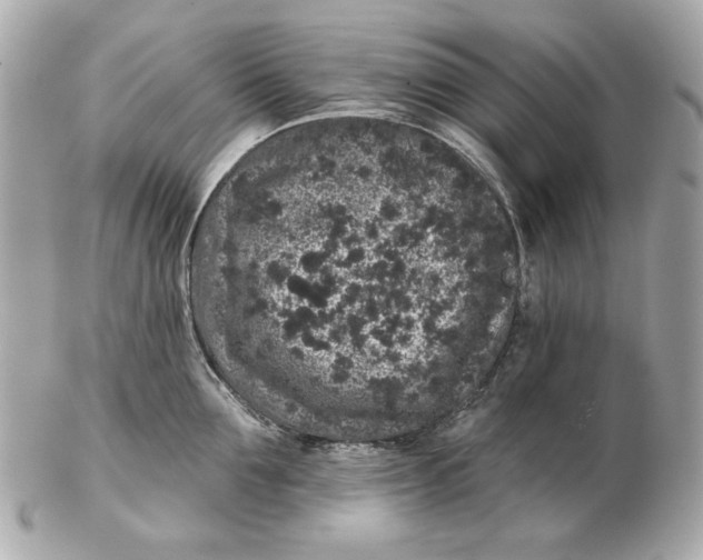 X0000102460907200808291539