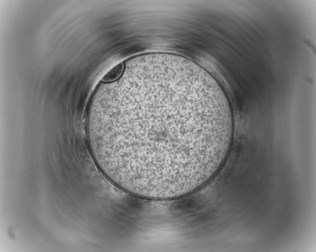 X0000102460908200808291539