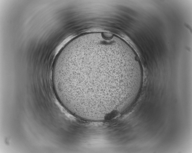 X0000102460909200808291539