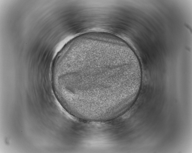 X0000102460910200808291539