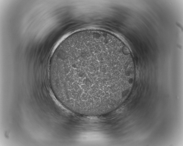 X0000102460911200808291539