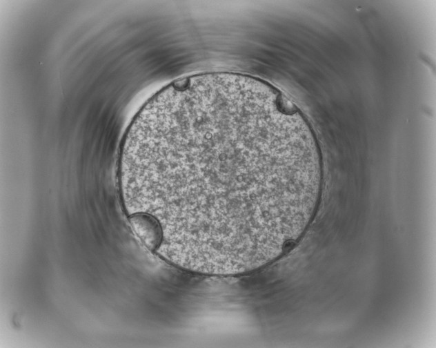 X0000102460912200808291539