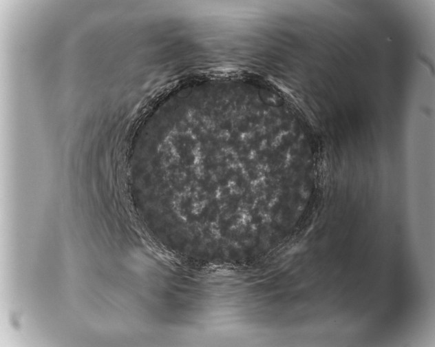 X0000102460913200808291539