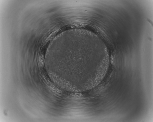 X0000102460915200808291539