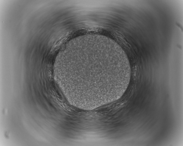 X0000102460916200808291539