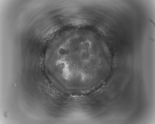 X0000102460917200808291539