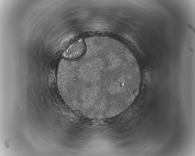 X0000102460918200808291539