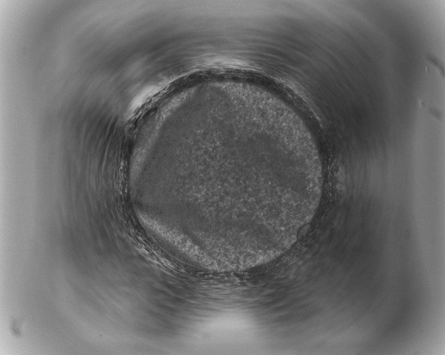 X0000102460919200808291539