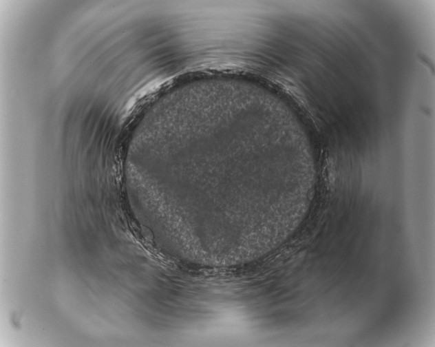 X0000102460920200808291539