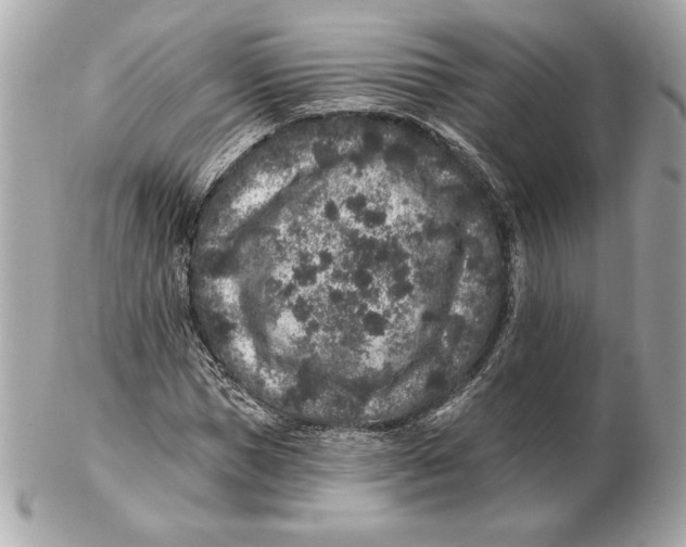 X0000102460921200808291539