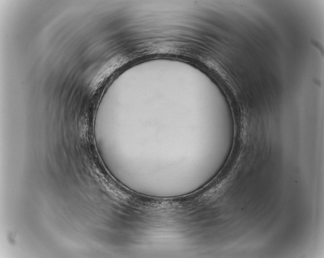 X0000102460922200808291539