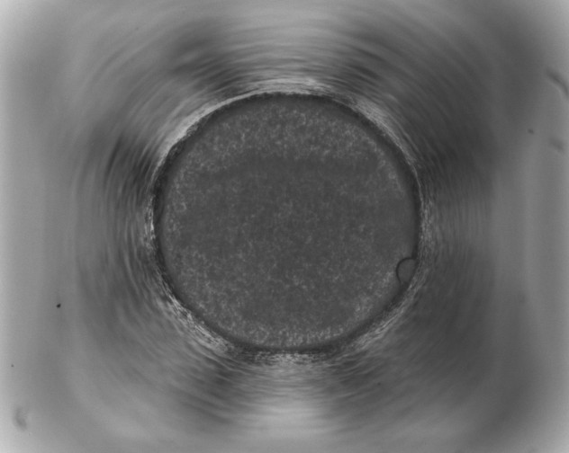 X0000102460923200808291539