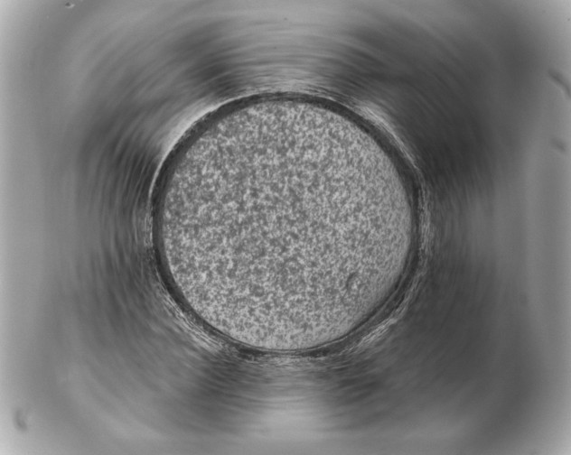 X0000102460924200808291539