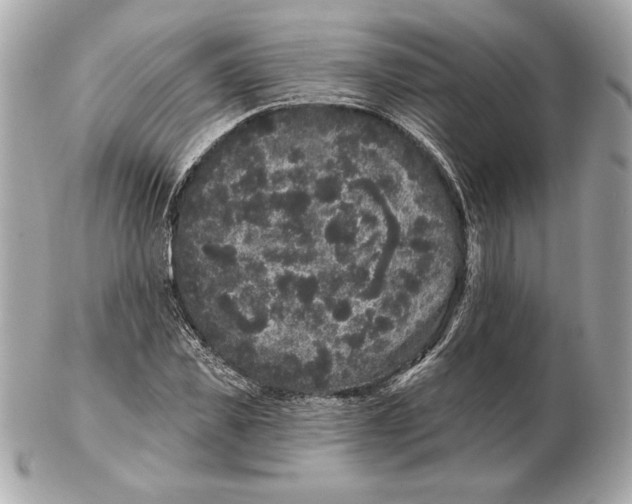 X0000102460925200808291539