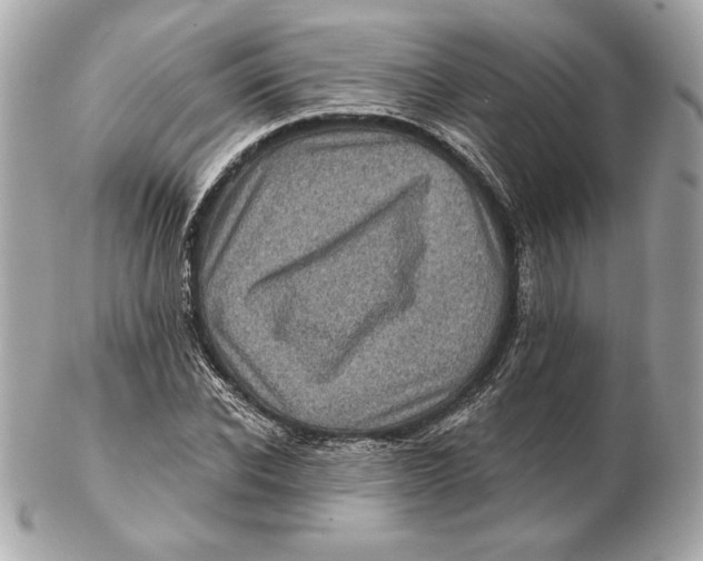 X0000102460926200808291539