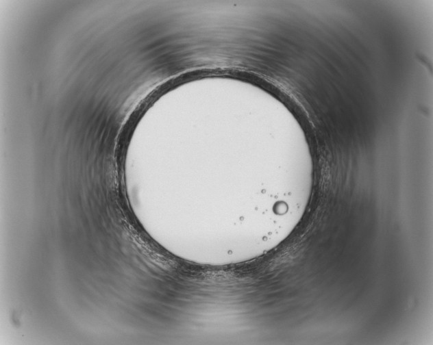 X0000102460927200808291539