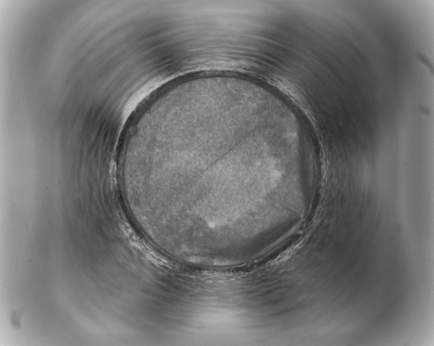 X0000102460928200808291539