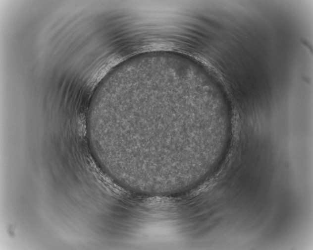 X0000102460929200808291539