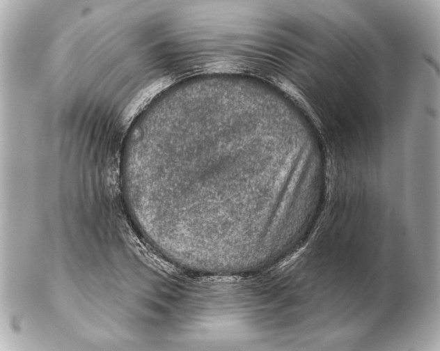 X0000102460930200808291539