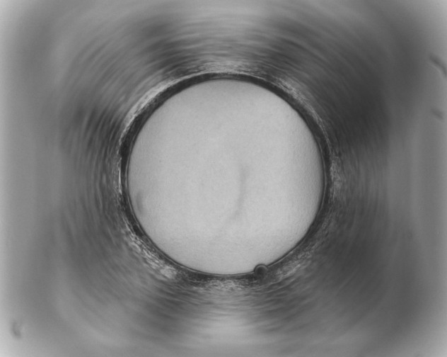 X0000102460931200808291539