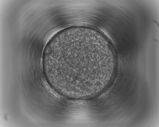 X0000102460932200808291539