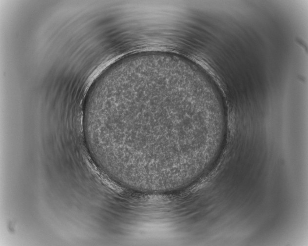 X0000102460933200808291539