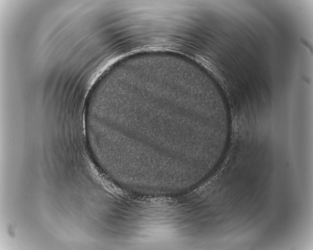 X0000102460934200808291539