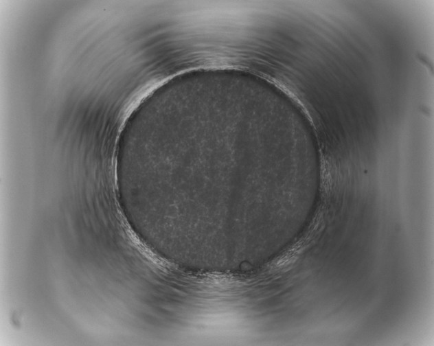 X0000102460935200808291539