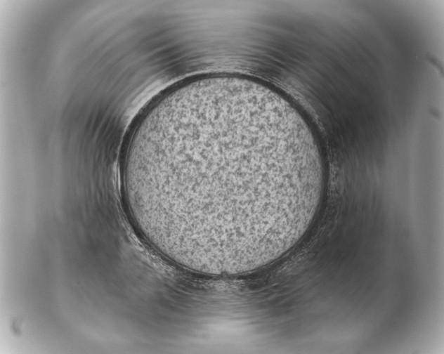 X0000102460936200808291539