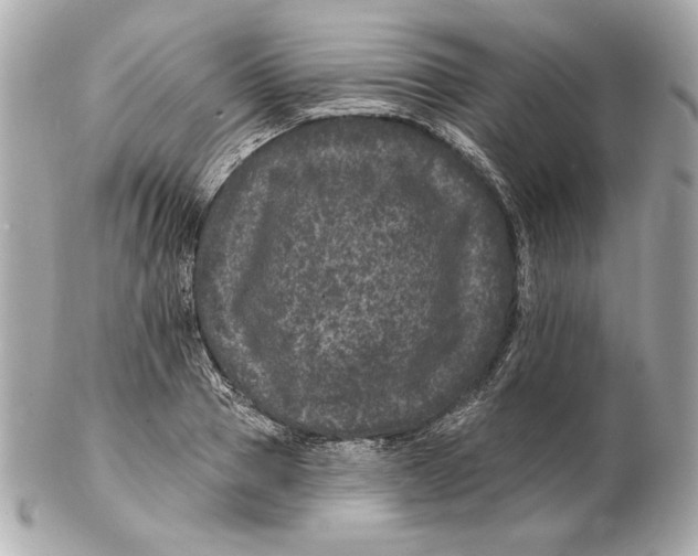 X0000102460937200808291539