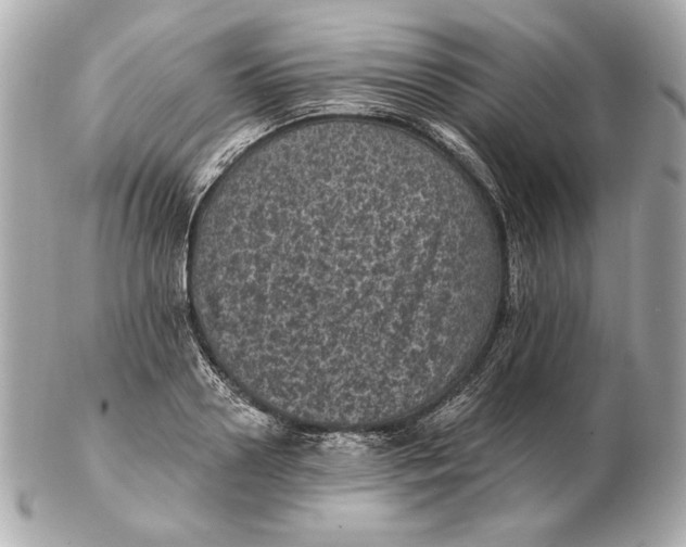 X0000102460938200808291539