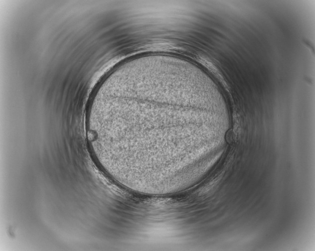 X0000102460939200808291539