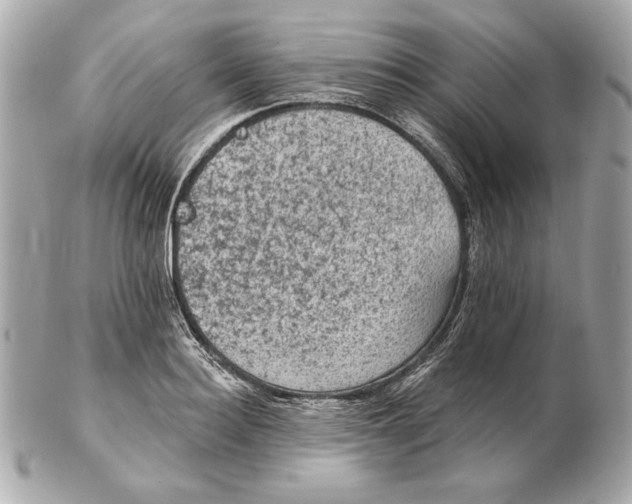 X0000102460940200808291539